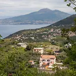 Cassiopea Vico Equense