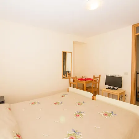 Cassiopea فيكو إيكوينس