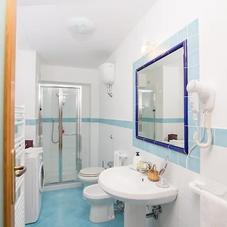 Cassiopea فيكو إيكوينس