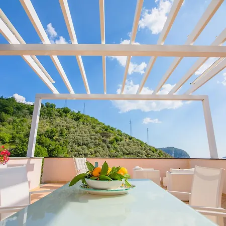 Cassiopea فيكو إيكوينس