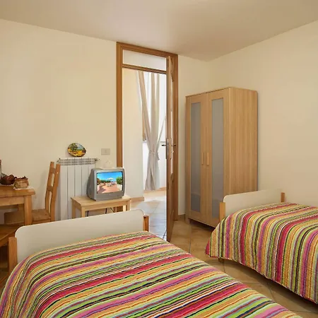 Cassiopea فيكو إيكوينس