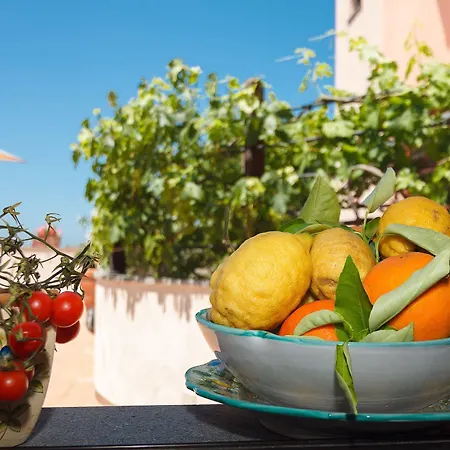 Cassiopea فيكو إيكوينس