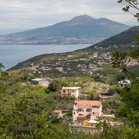 Cassiopea Vico Equense