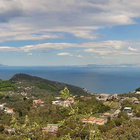 Cassiopea Bed and breakfast