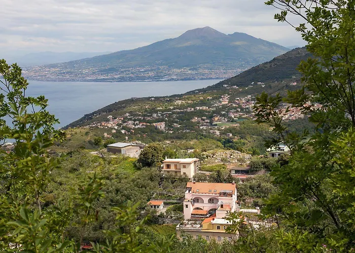 Cassiopea Vico Equense